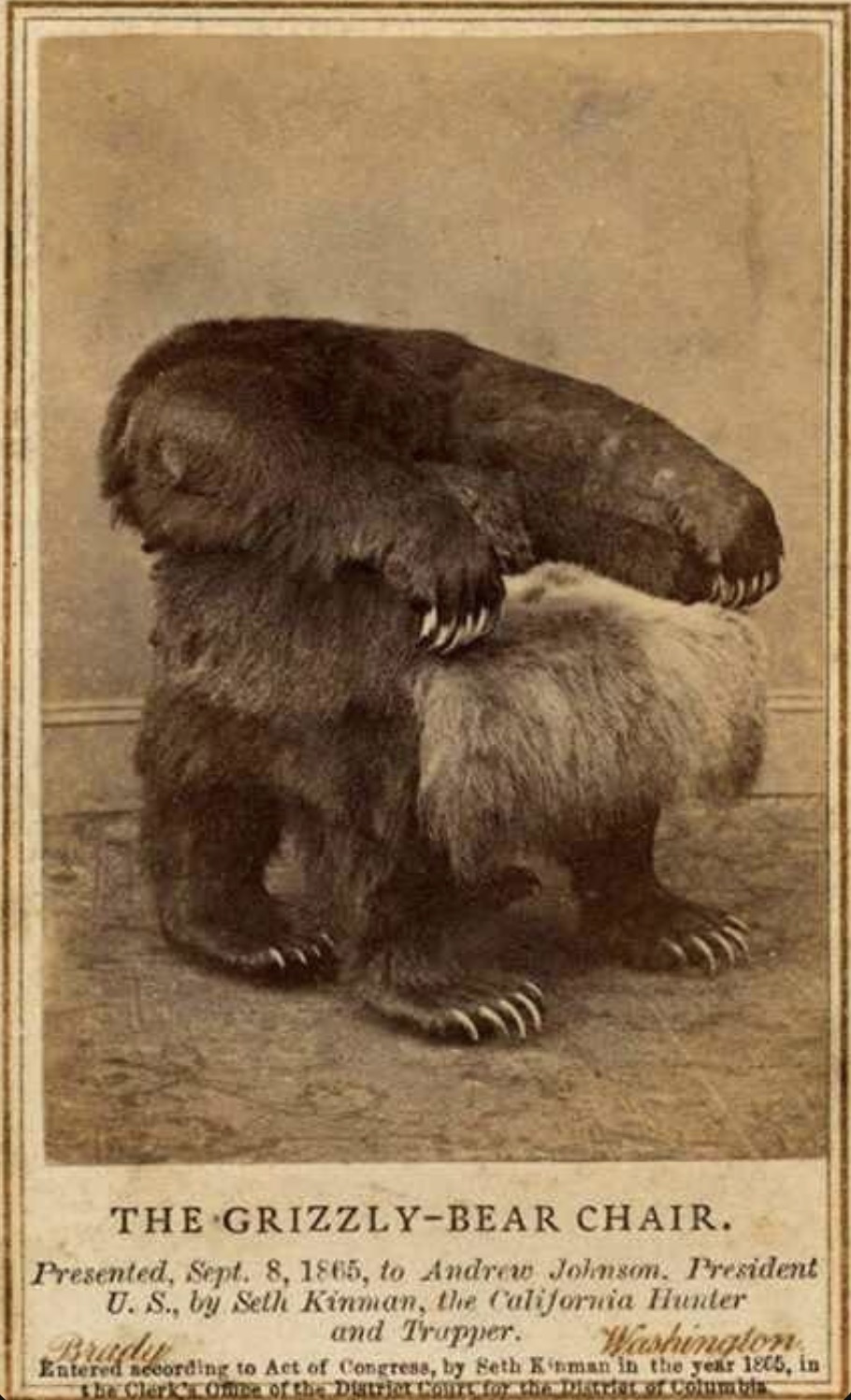 bear chair seth kinman - The GrizzlyBear Chair. Presented, Sept. 8, 1865, to Andrew Johnson. President U. S., by Seth Kinman, the California Hunter Brady and Trapper. Washington Entered necording to Act of Congress, by Seth Kinman in the year 1805, in the